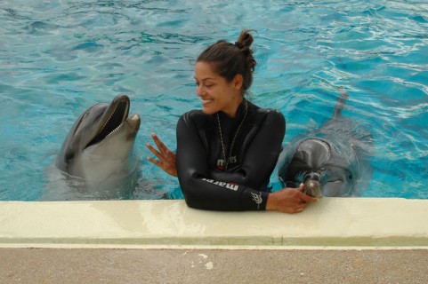 delfinia (3)
