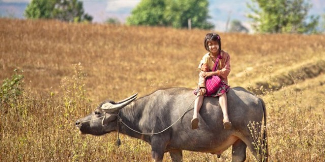 children-going-to-school-around-the-world-24