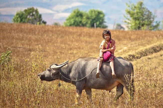 children-going-to-school-around-the-world-24