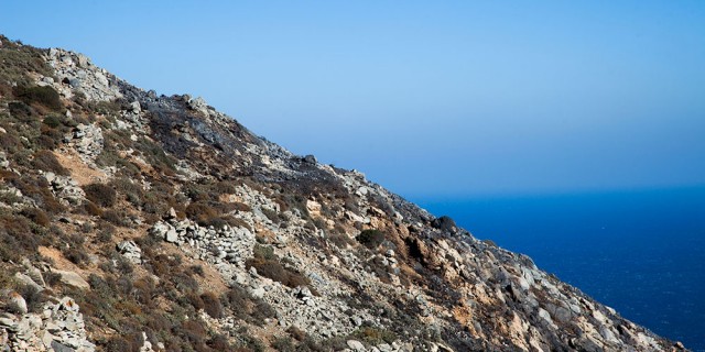 IMG_5519