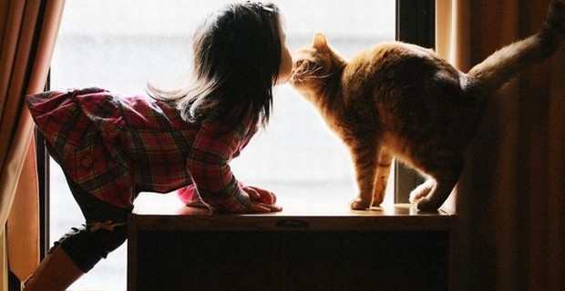 cat14