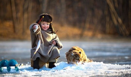 cat3