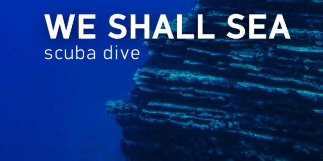 WE SHALL SEA kataxwrhsh 2016