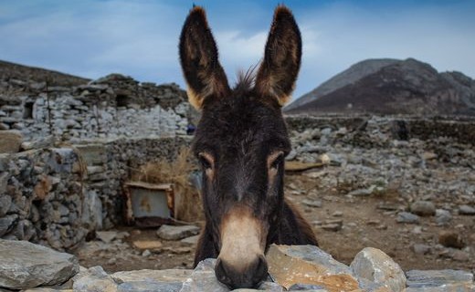 amorgos 2