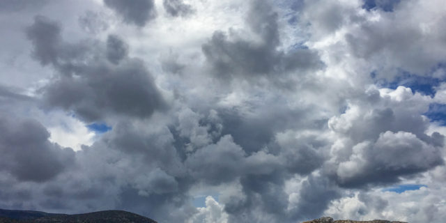 IMG_0817