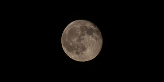 IMG_8972
