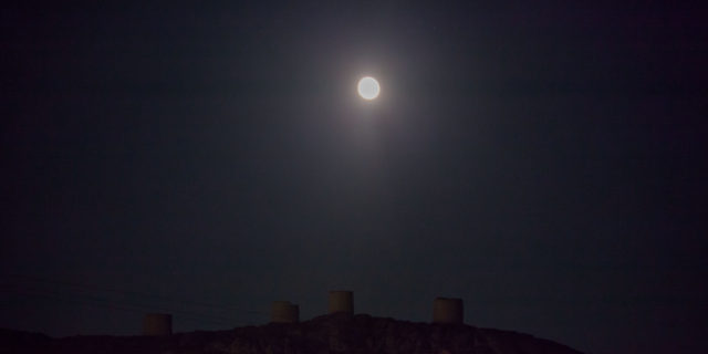IMG_8981