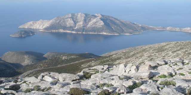 profitisilias5