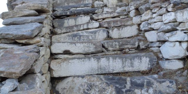 DSC00696