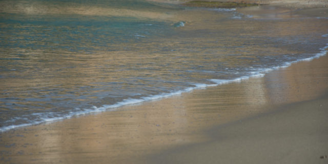 DSC_0934