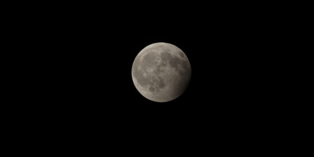 IMG_0986