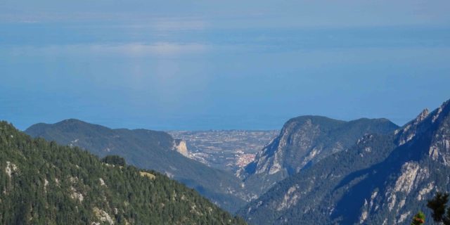 DSC00609