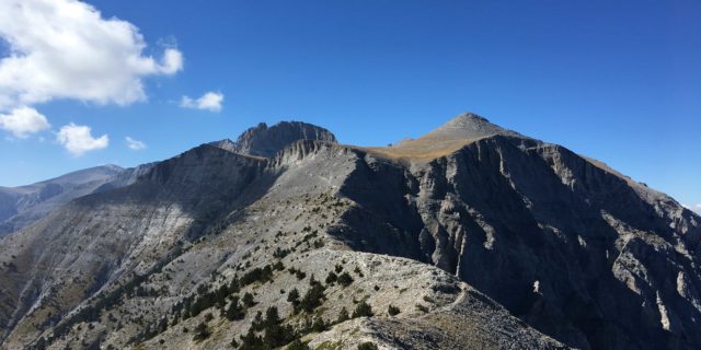 IMG_3260