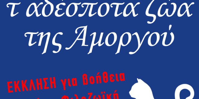 filozoiki