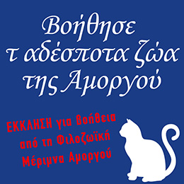 filozoiki260x260