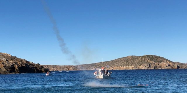 IMG_3984