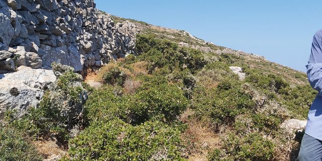 καθαρισμός-των-μονοπατιών-3