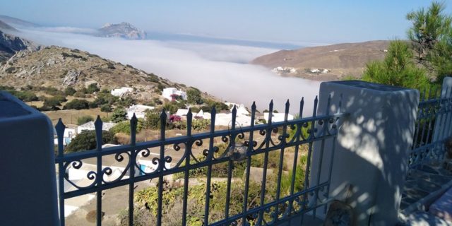 Pousi-amorgos-6