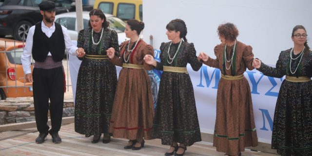 mousi14