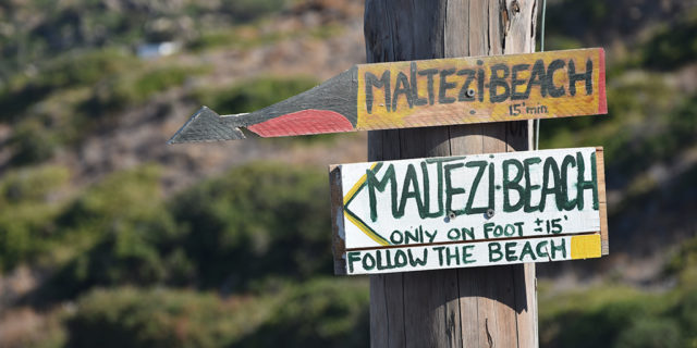 maltezi1