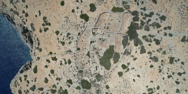 anidroseksw1