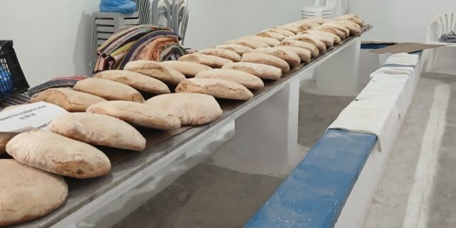 IMG-4e966d8f3cab46640489feff269e790b-V