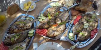 Άνοιξε και η ταράτσα στο “Λιμάνι της Κυρά Κατίνας”