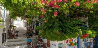 Αγροτουρισμός στην Αμοργό με το Pagali Hotel